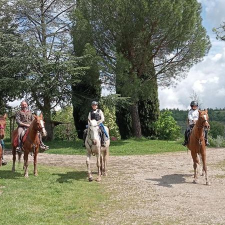 All'Antico Silbule Capolona Kültér fotó